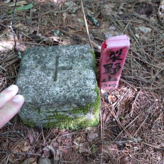 梨子野山⛰️山頂🚩
三角点△にタッチ👆️
山頂標🪧は見付けられず😭