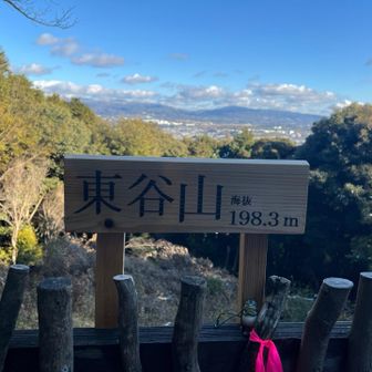 東谷山198.3m無事カエルさんIN