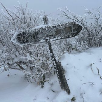 コワ坂コースで下山します
もう少し待ったら晴れそうだけどなー