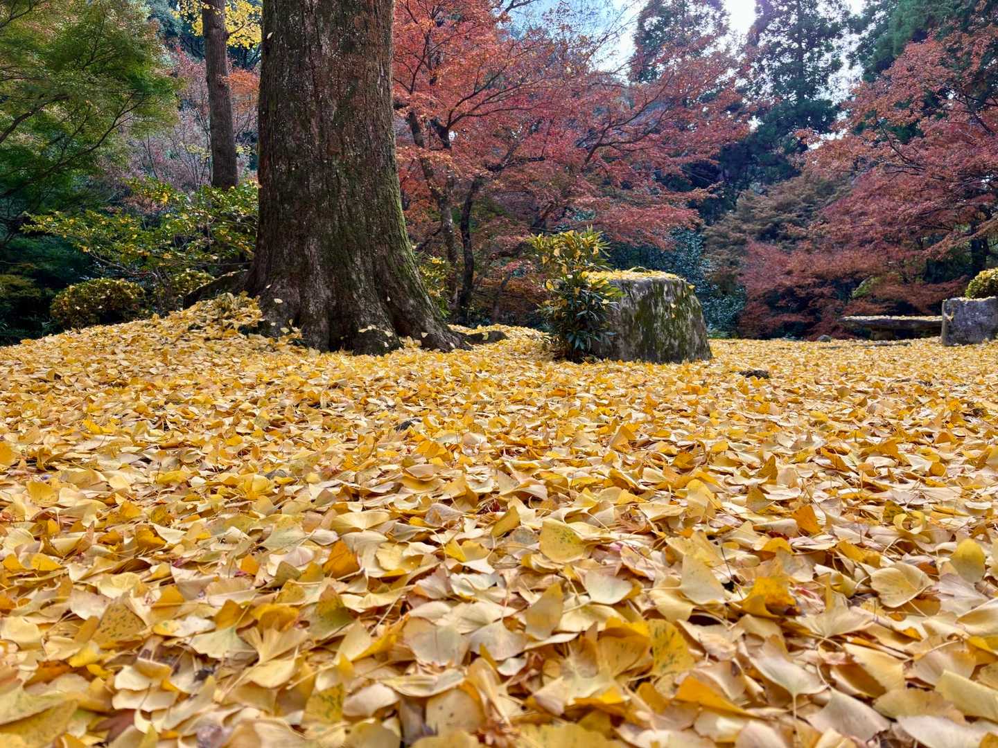 清水寺本坊庭園