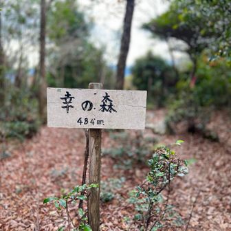 駐車場を通過して浅間山へ⛰️⛩️