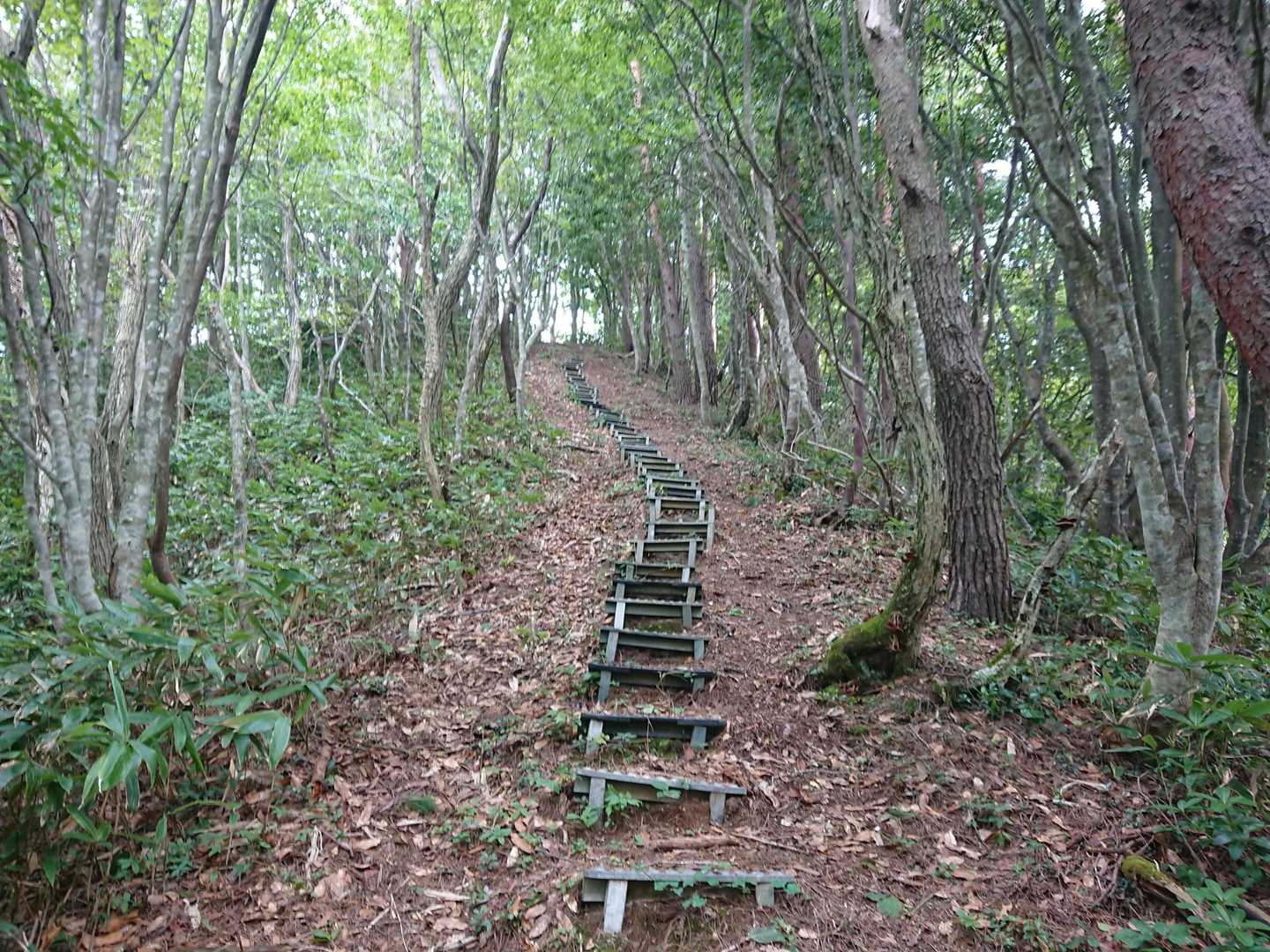ココまで来たらあと少しかなぁ❗
と思ってたけど記憶違いでした😅