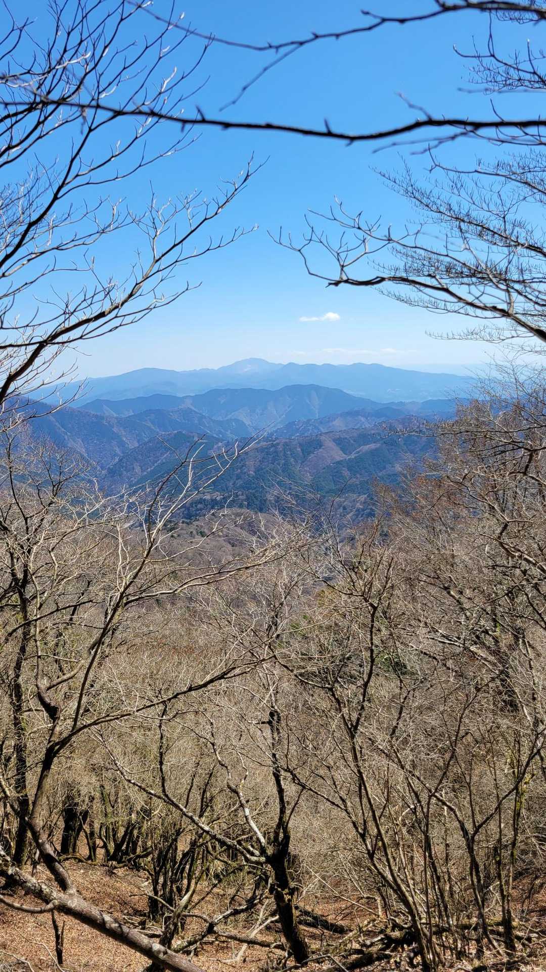 箱根方向の眺め