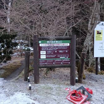 唐沢鉱泉登山口
この先すぐにチェーンスパイク使用。