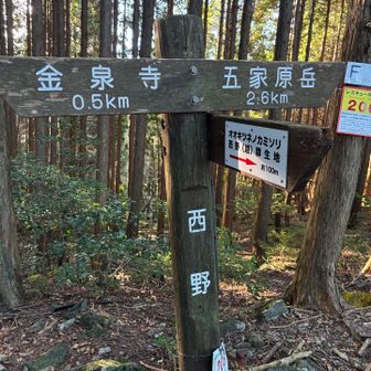いざ、五家原岳へ✊
