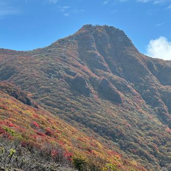 大船山の西壁は綺麗な色づき🤩