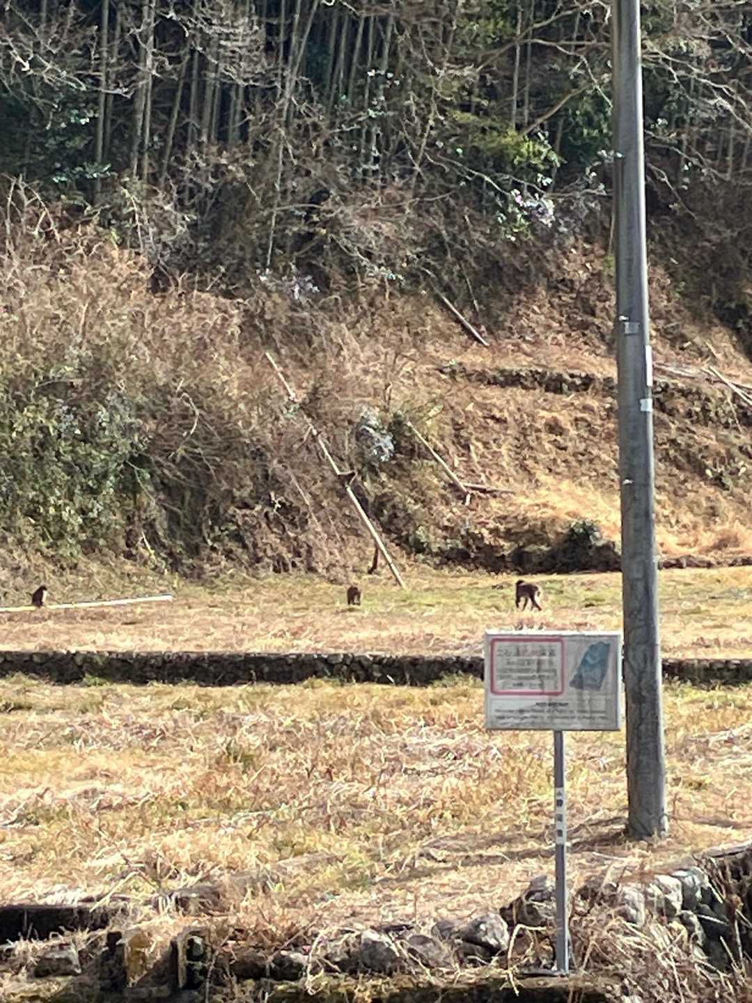 杉尾山ハイキングコース入口-杉尾山-杉尾山登山口 周回コースの写真