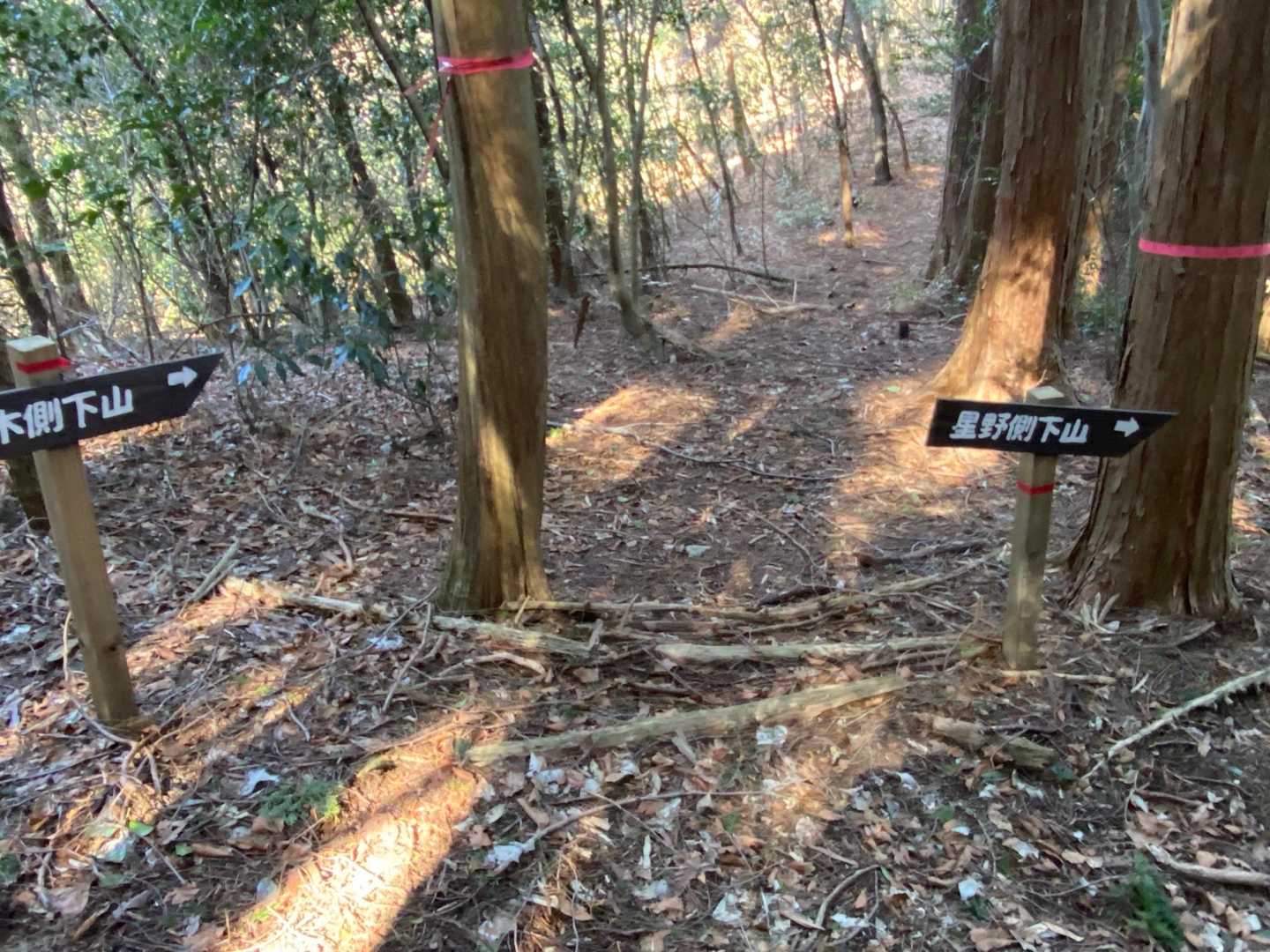 分岐
星野側へ→
黒木側はどのあたりに出るのだろう？