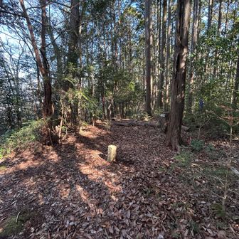 室生山西峰の山頂付近の様子です👀