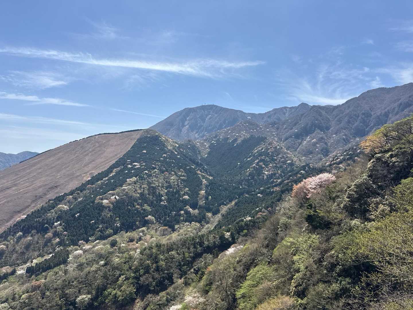 鍋山取付き-鍋山 往復コースの写真