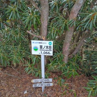 まつさか香肌イレブンの栗ノ木岳登頂