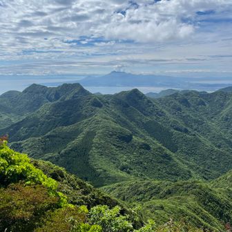 The top of Saga! 🤩 