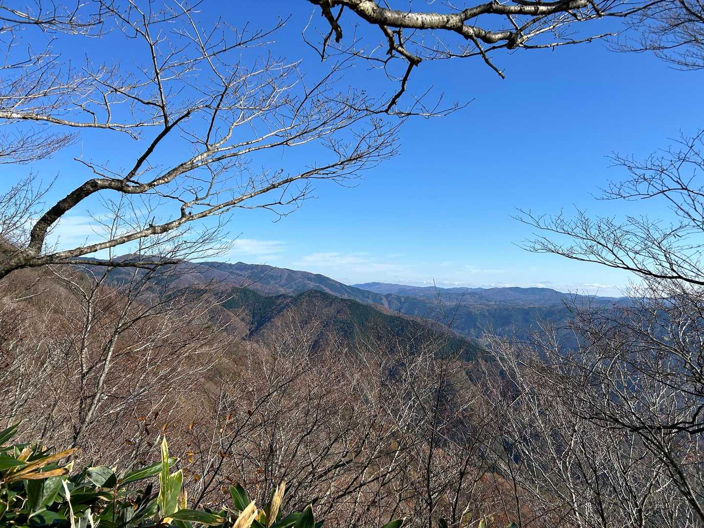 向峠バス停-小五郎山 往復コースの写真