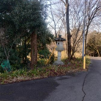 ヤマップのピークはこの辺りだけど、違うんじゃないかなぁ