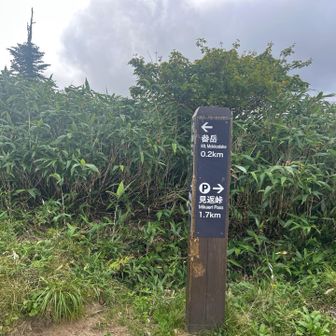 畚岳に向かう