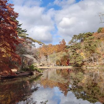 池の周りは色褪せて、見頃は過ぎていました