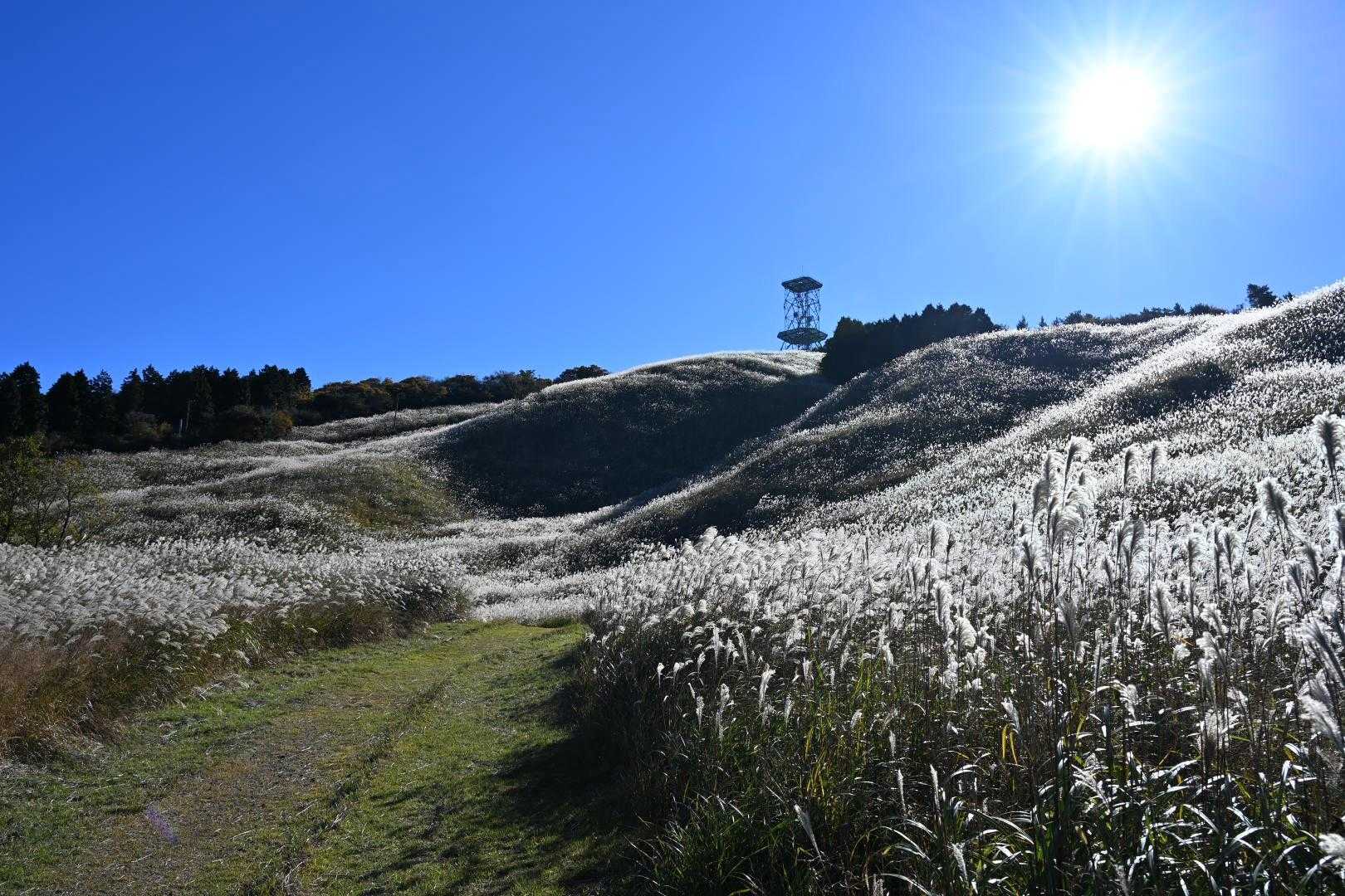 登山口に到着