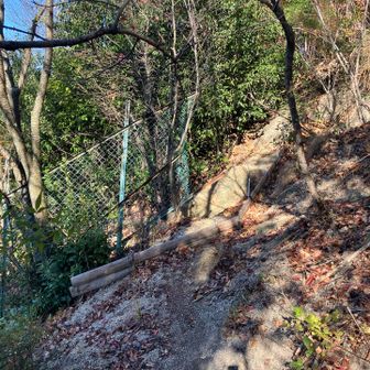 ここから出ます