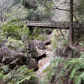 乳岩に行く途中にある有名な橋✨
雰囲気めちゃいい🍃