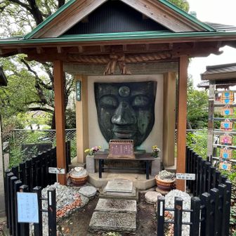 上野大仏
幾多の災難等に遭い、最後に顔だけ残った大仏様
なんか可哀想