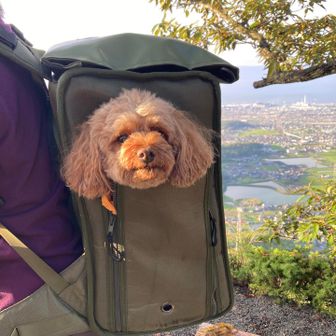 下りはリュックで