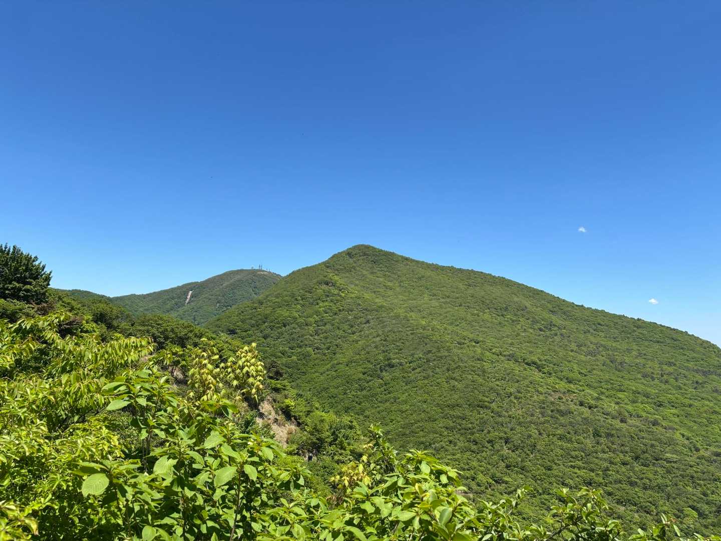 鍋割山 | 山頂に広がる大パノラマ、木漏れ日と岩肌の楽しめる初心者コースの写真