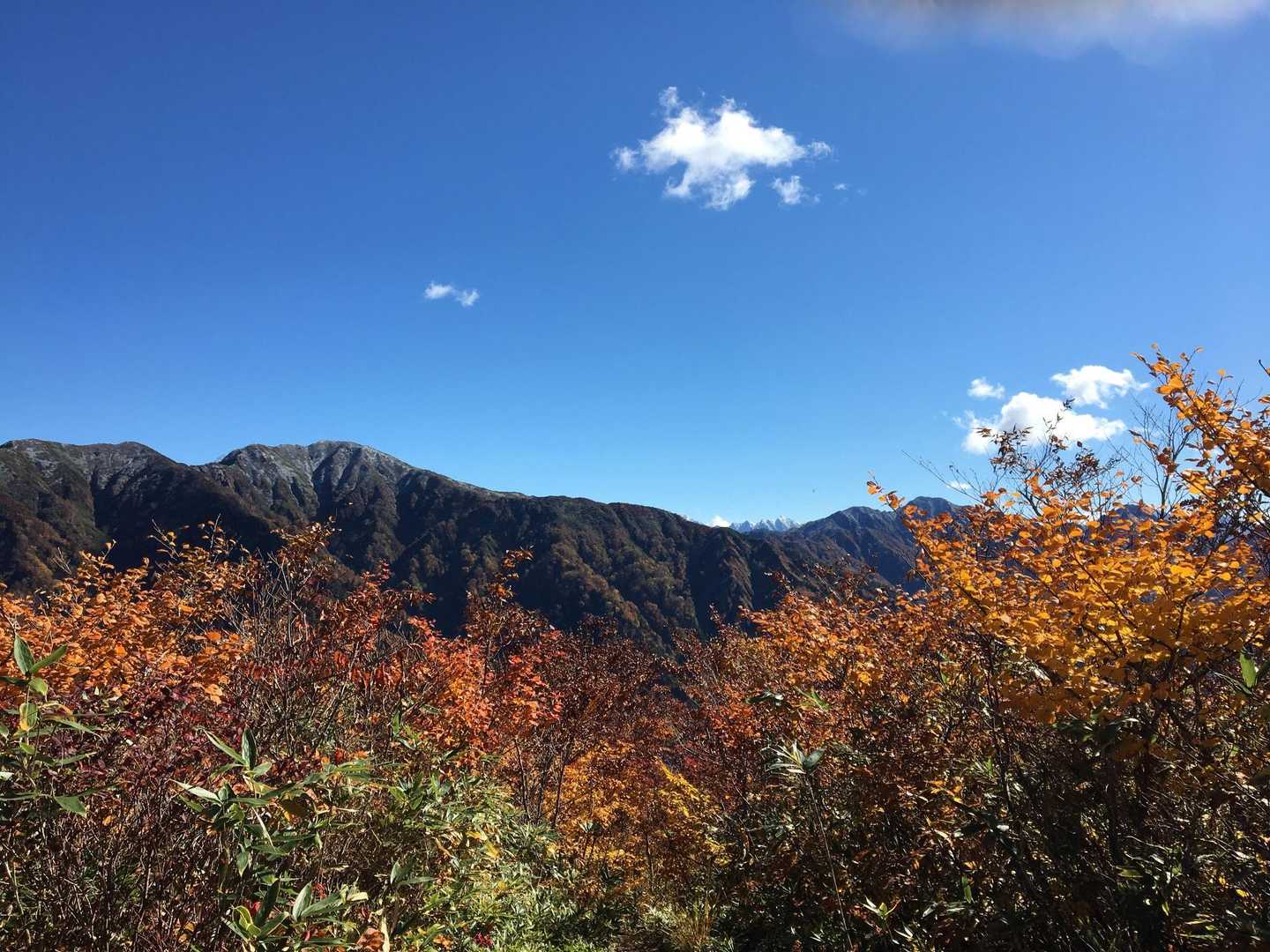 伊折山-成谷山 -僧ヶ岳 往復コースの写真