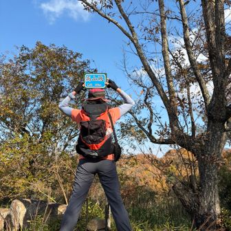 山頂、三角点あり。