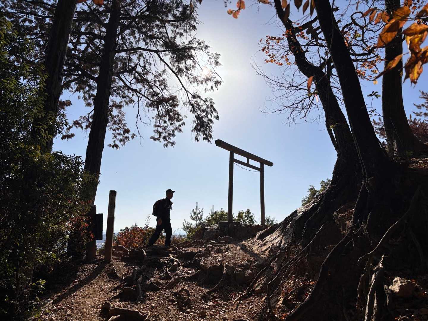 日 和田 山 熊