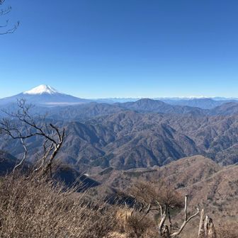 山頂から犬越路へ少し降りると障害物なしの絶景が目に飛び込んできました