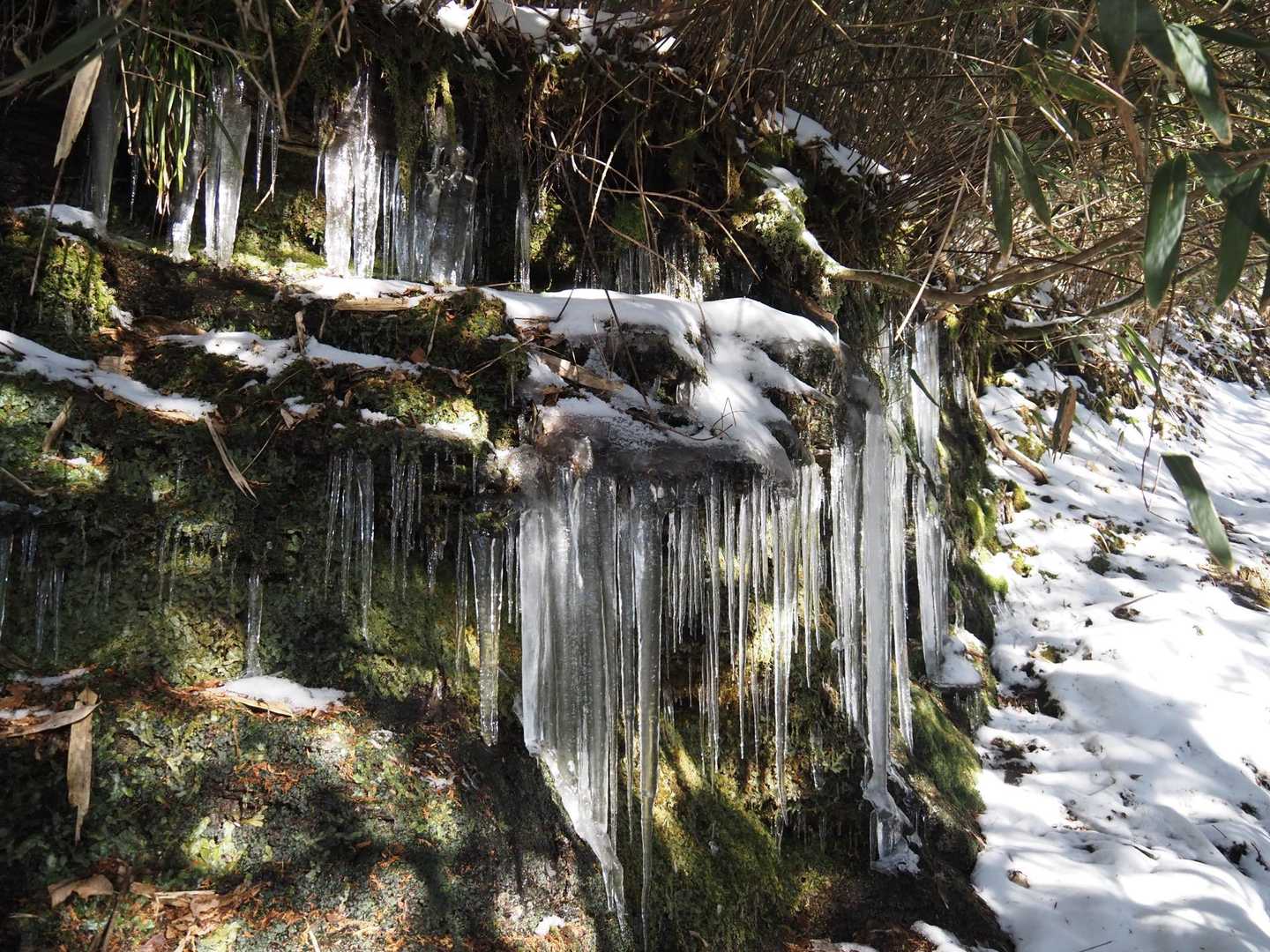 野地峰 往復コースの写真