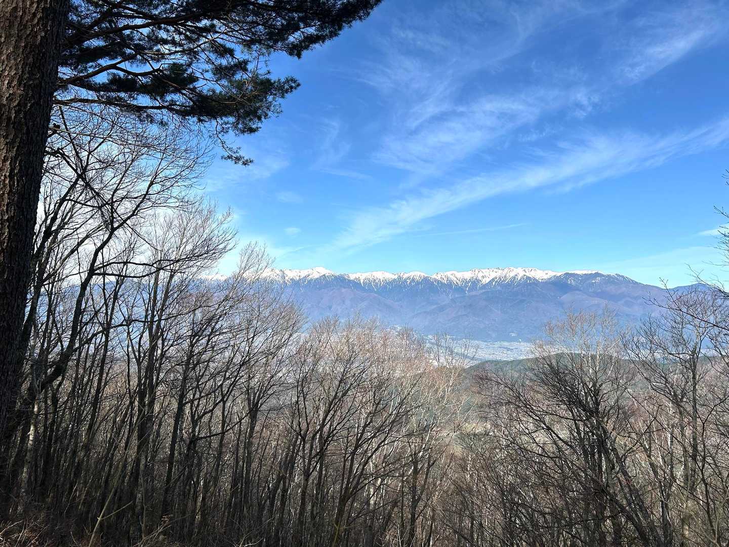 戸倉山 往復コースの写真