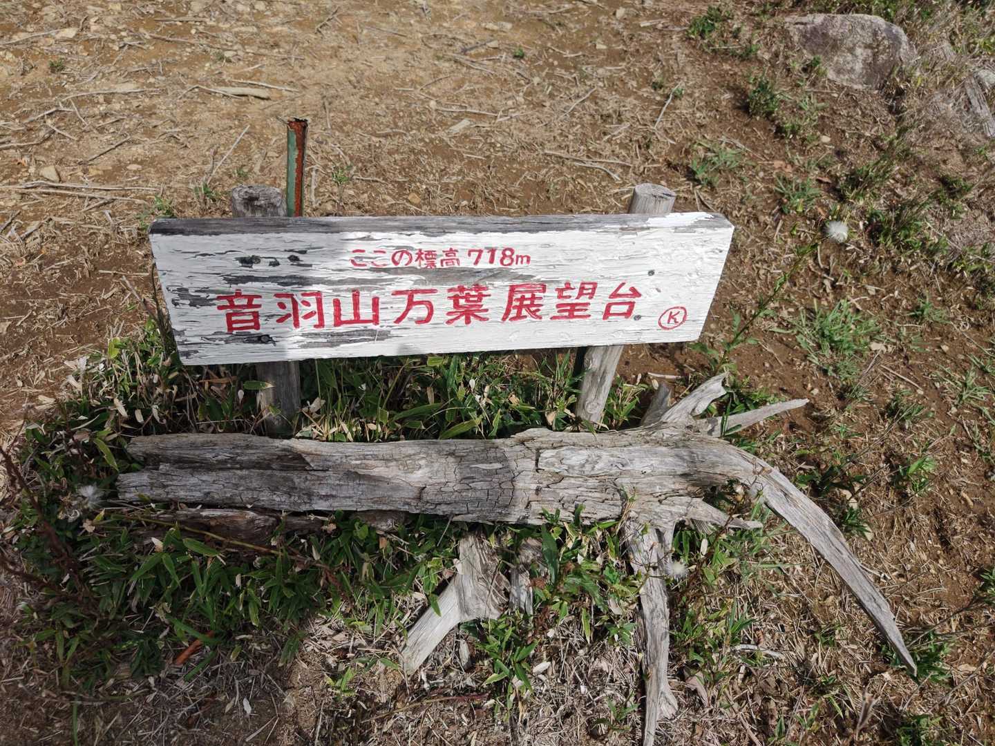 ここまででも汗だくでキツイ。😵‍💫