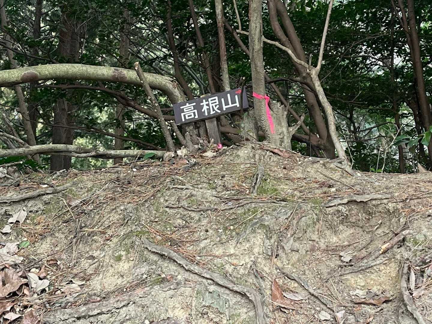 少しアスファルトの林道に出て、ここから高根山への登山道へ💨💨💨