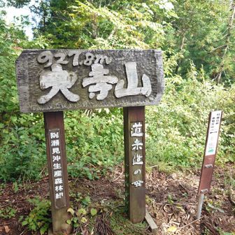 今日はここまで👍