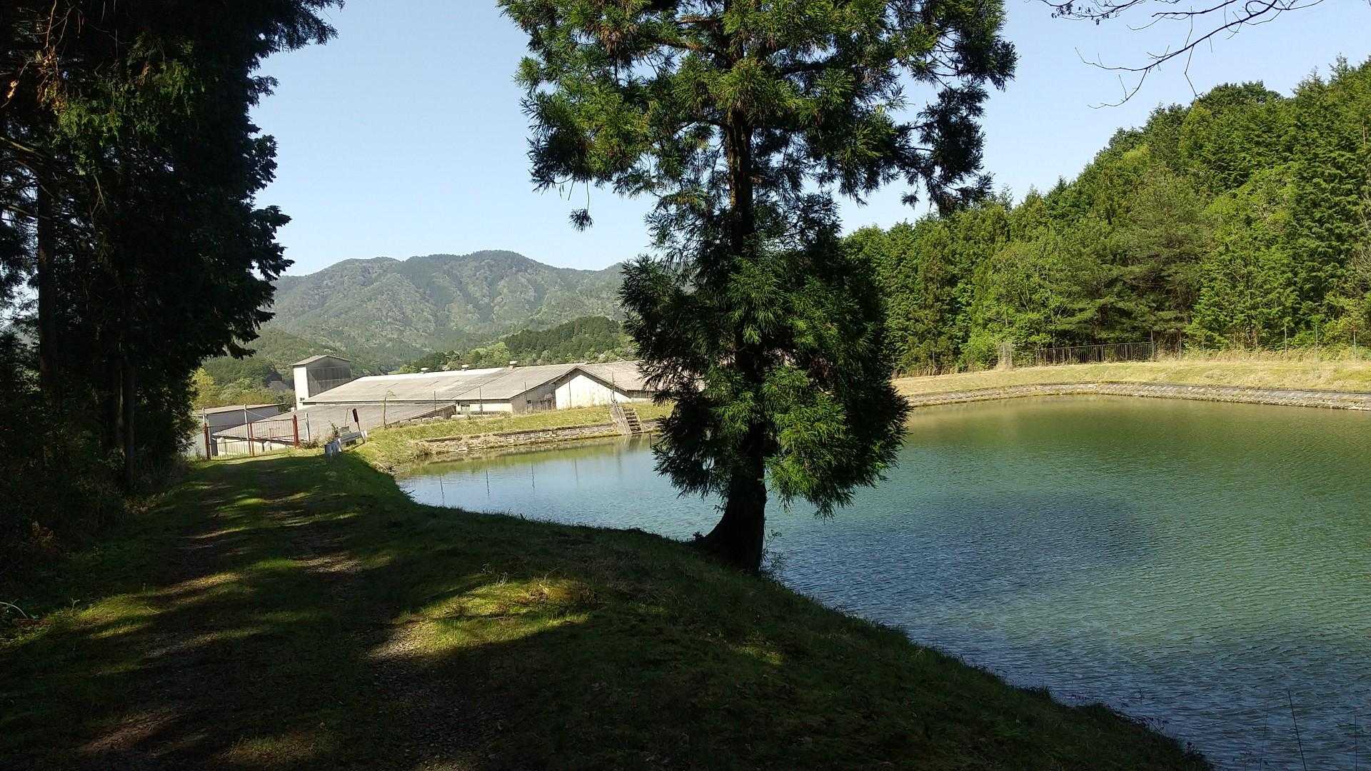 三尾山-鏡峠 周回コースの写真