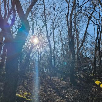 富士山が全然見えない