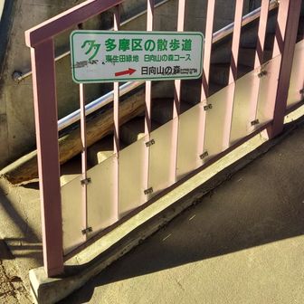 キョロキョロしていたら根岸歩道橋案内板の後に日向山の森へ行く案内板が、ありました。駅から来るとこのわかりずらく見えない‼️