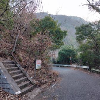 ここから入り～