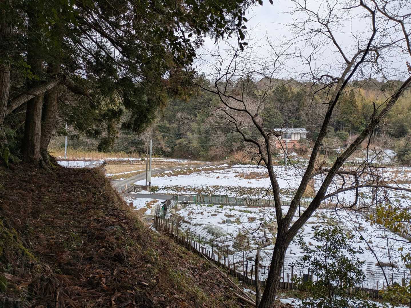 出てきた😄👍