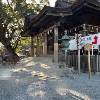 奥社から1.2km石段全583段歩き御本宮に。

金毘羅　船♪船♪ 追手に帆かけて
シュラ　シュ　シュシュ〰︎♪