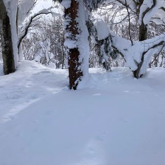 祠はここにあるはず。ナムナム🙏
