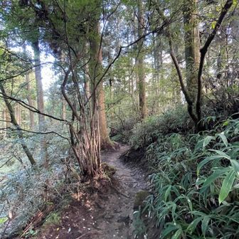 青崩道より降る‥