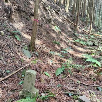 登山道に墓石🪦
よく見ると左上にもある
崩れて落ちてきたようだ🙏