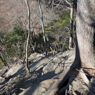 激下りもちょっとあり。