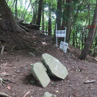 西肩峠まで来ました