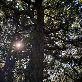 思わぬステキな出会いがありました