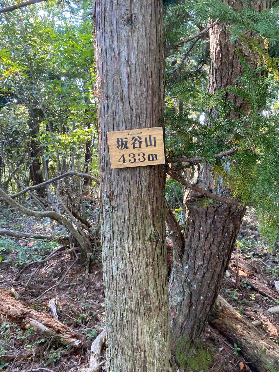坂谷山山頂。標高433m。
