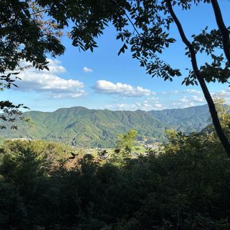 向かいの障子ヶ岳を見渡し、すぐに退散💦
時間ないぞー