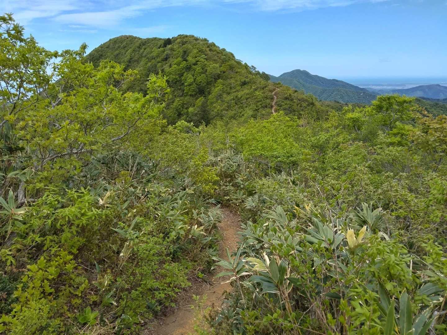 北丈競山-丈競山 往復コースの写真